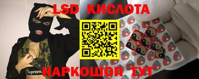спайс Будённовск