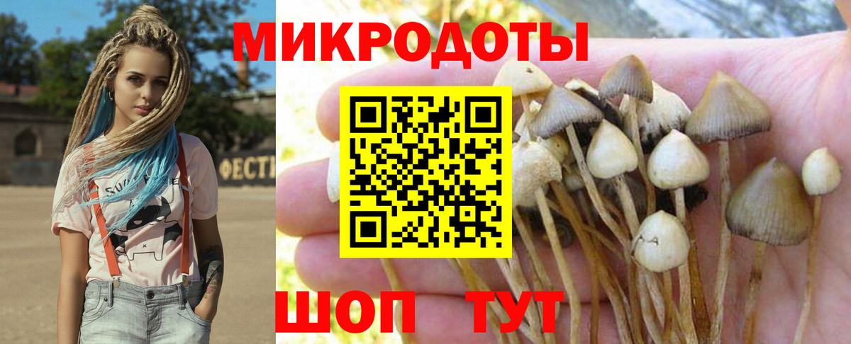 Мелеуз  Галлюциногенные грибы Cubensis  Псилоцибиновые грибы Psilocybine cubensis  Вход с VPN 