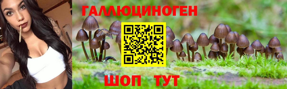 Псилоцибиновые грибы ЛСД Мелеуз
